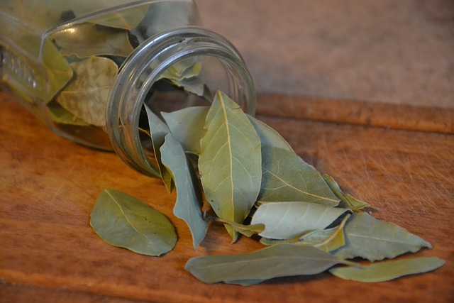 The Bay Leaf: For Taste, For Health, and as Myth